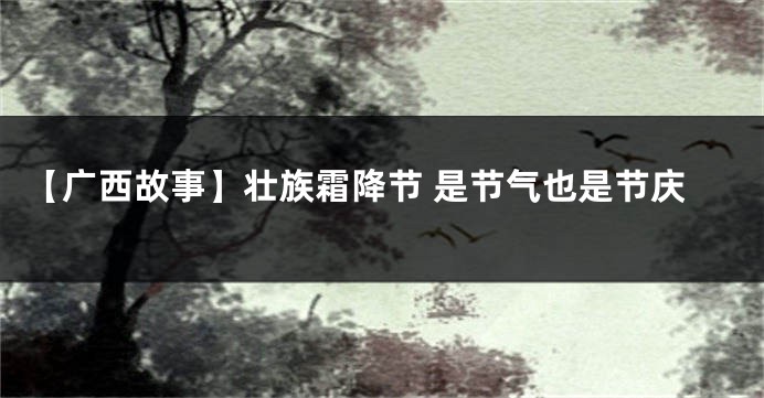【广西故事】壮族霜降节 是节气也是节庆