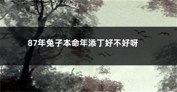 87年兔子本命年添丁好不好呀