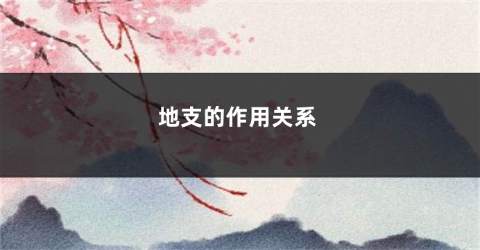 地支的作用关系