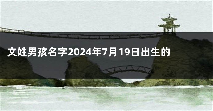 文姓男孩名字2024年7月19日出生的
