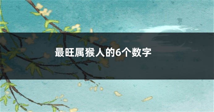最旺属猴人的6个数字