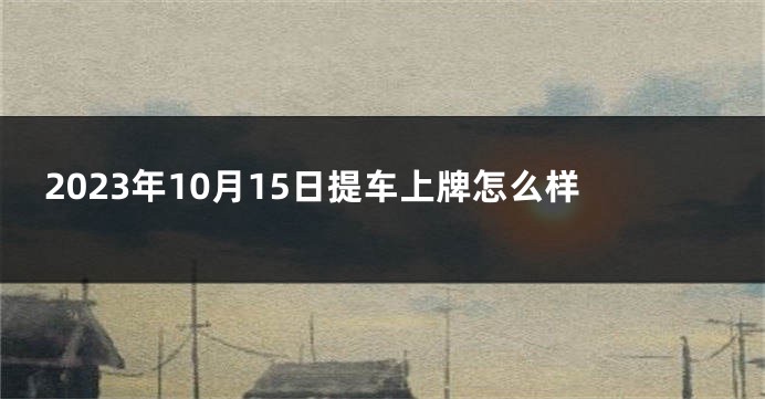 2023年10月15日提车上牌怎么样
