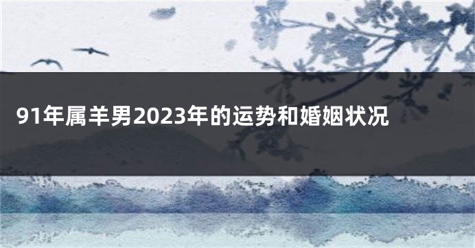 91年属羊男2023年的运势和婚姻状况