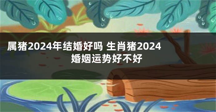 属猪2024年结婚好吗 生肖猪2024婚姻运势好不好