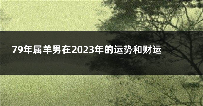 79年属羊男在2023年的运势和财运