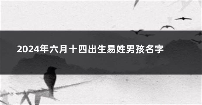 2024年六月十四出生易姓男孩名字