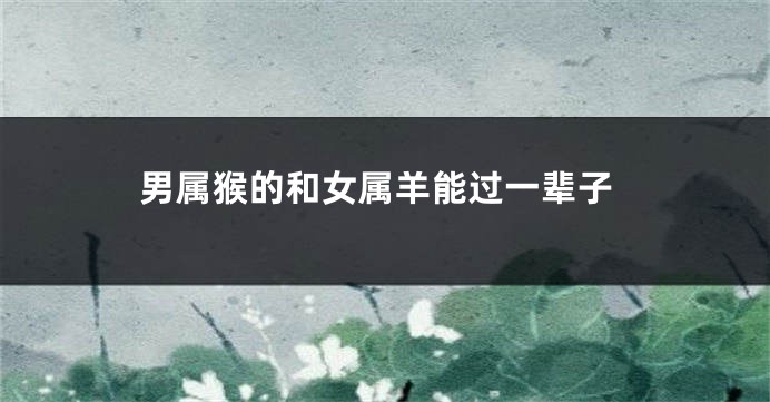 男属猴的和女属羊能过一辈子