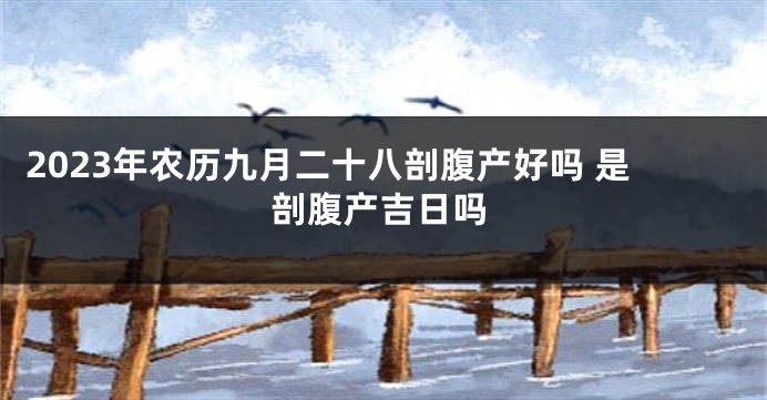 2023年农历九月二十八剖腹产好吗 是剖腹产吉日吗