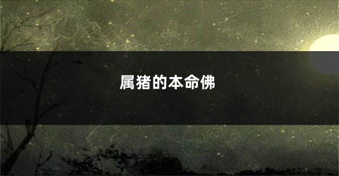 属猪的本命佛