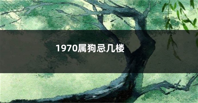1970属狗忌几楼
