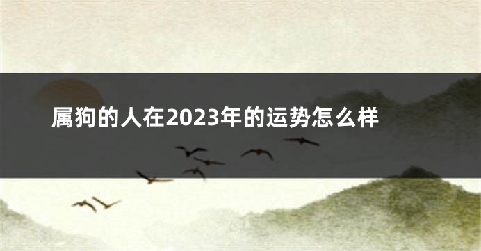 属狗的人在2023年的运势怎么样