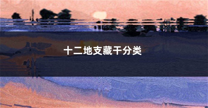 十二地支藏干分类