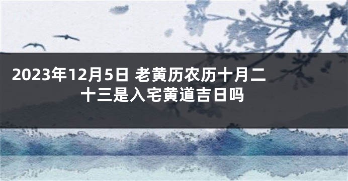 2023年12月5日 老黄历农历十月二十三是入宅黄道吉日吗 