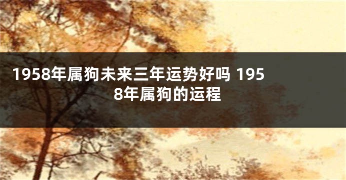 1958年属狗未来三年运势好吗 1958年属狗的运程