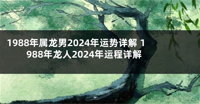 1988年属龙男2024年运势详解 1988年龙人2024年运程详解