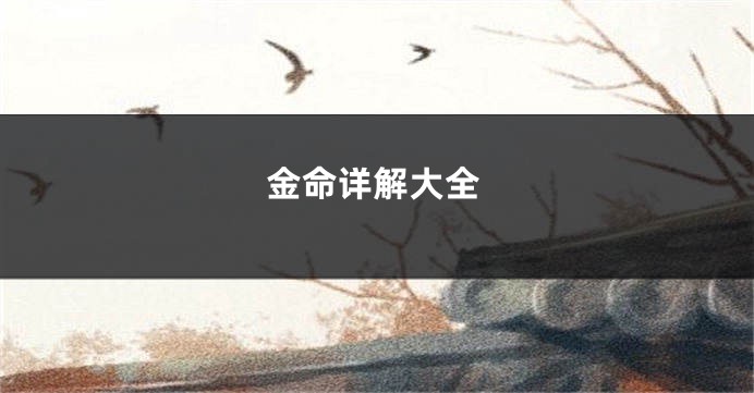 金命详解大全