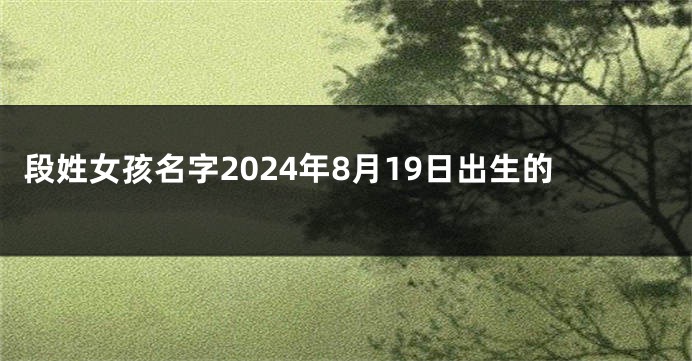 段姓女孩名字2024年8月19日出生的