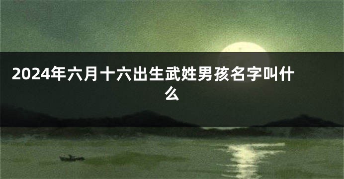 2024年六月十六出生武姓男孩名字叫什么