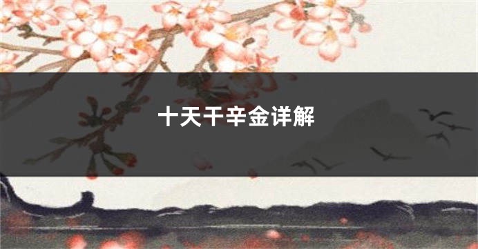 十天干辛金详解
