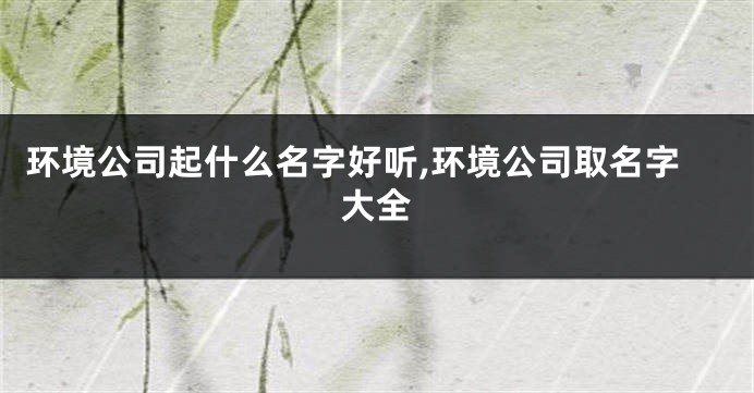 环境公司起什么名字好听,环境公司取名字大全