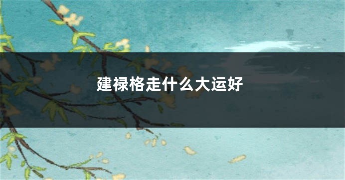 建禄格走什么大运好