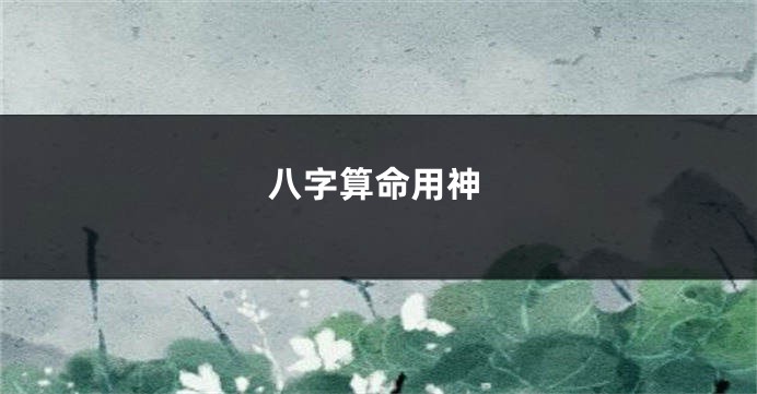 八字算命用神