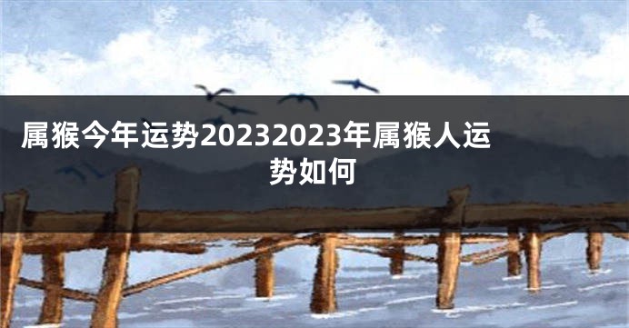 属猴今年运势20232023年属猴人运势如何