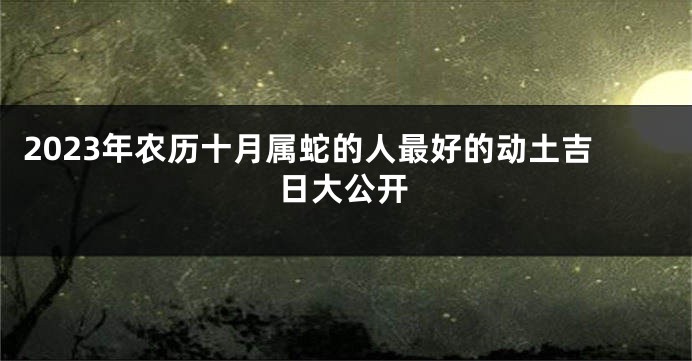 2023年农历十月属蛇的人最好的动土吉日大公开