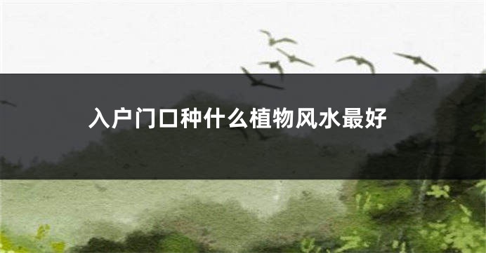 入户门口种什么植物风水最好