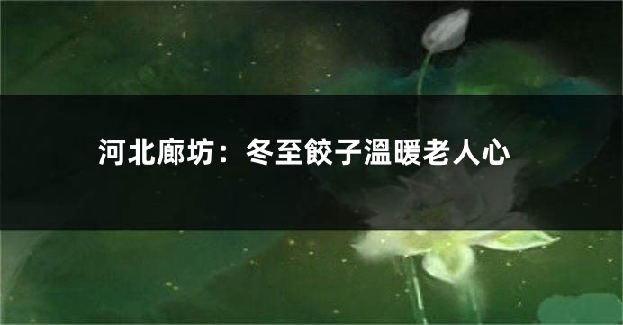 河北廊坊：冬至餃子溫暖老人心