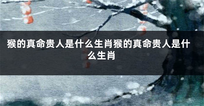 猴的真命贵人是什么生肖猴的真命贵人是什么生肖