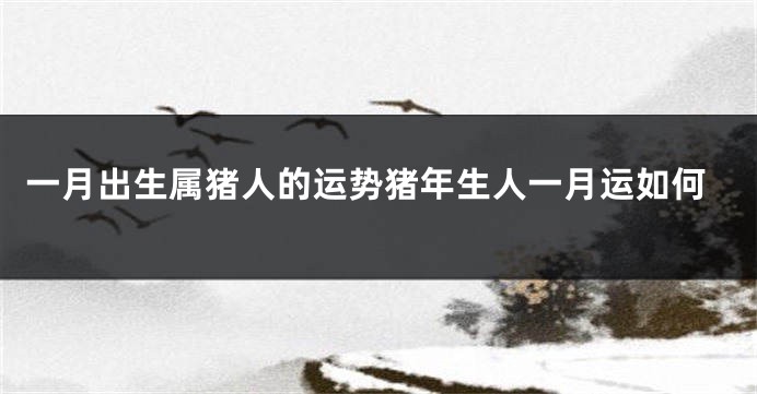一月出生属猪人的运势猪年生人一月运如何