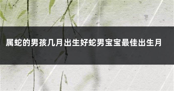 属蛇的男孩几月出生好蛇男宝宝最佳出生月
