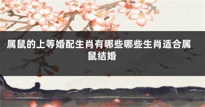 属鼠的上等婚配生肖有哪些哪些生肖适合属鼠结婚