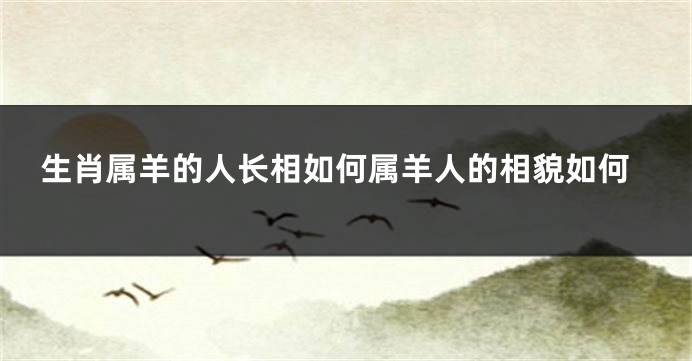 生肖属羊的人长相如何属羊人的相貌如何