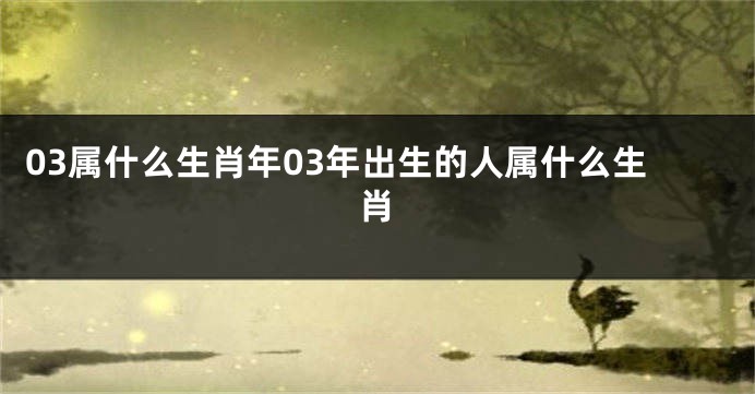03属什么生肖年03年出生的人属什么生肖