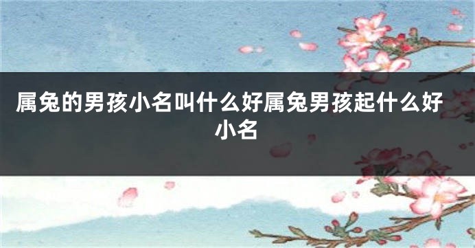 属兔的男孩小名叫什么好属兔男孩起什么好小名