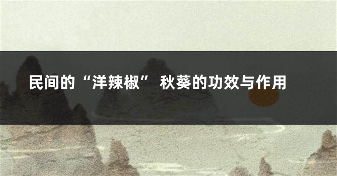 民间的“洋辣椒” 秋葵的功效与作用