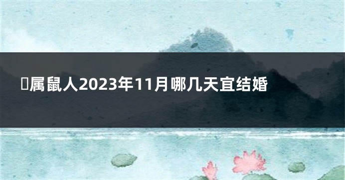 ​属鼠人2023年11月哪几天宜结婚
