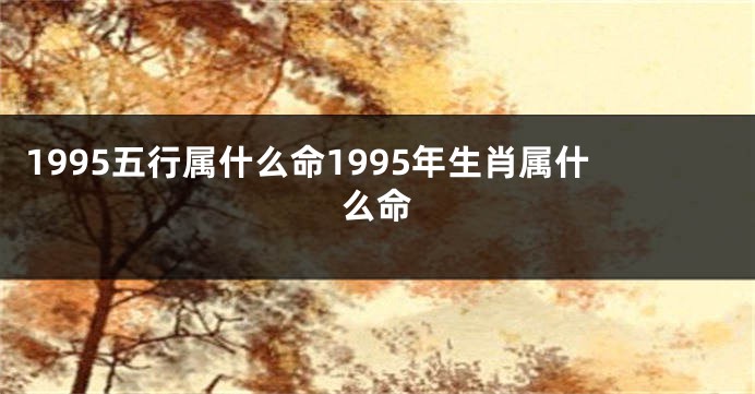 1995五行属什么命1995年生肖属什么命