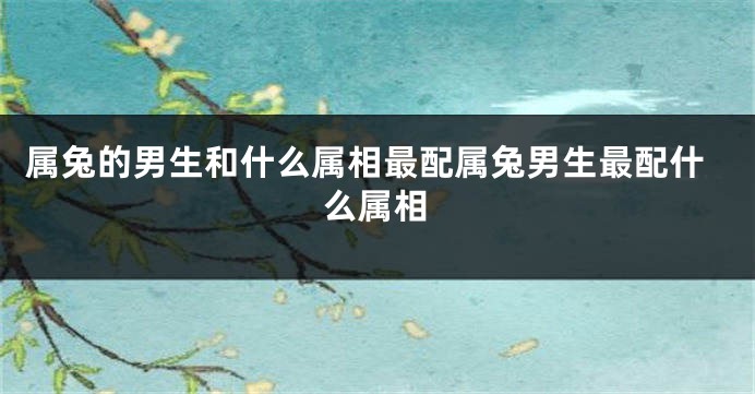 属兔的男生和什么属相最配属兔男生最配什么属相