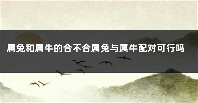 属兔和属牛的合不合属兔与属牛配对可行吗