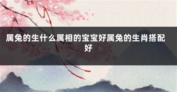 属兔的生什么属相的宝宝好属兔的生肖搭配好