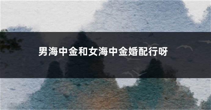 男海中金和女海中金婚配行呀