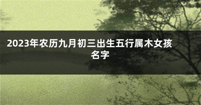 2023年农历九月初三出生五行属木女孩名字
