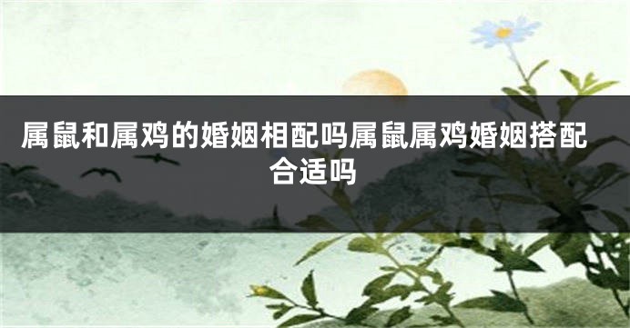 属鼠和属鸡的婚姻相配吗属鼠属鸡婚姻搭配合适吗