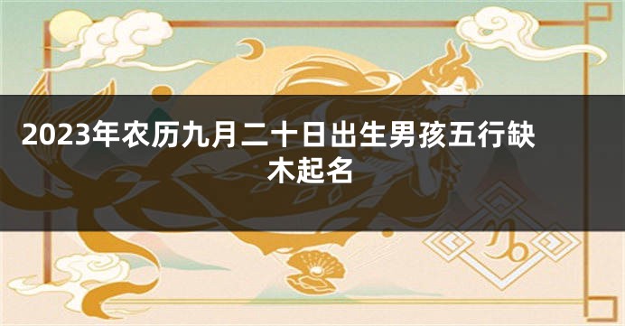 2023年农历九月二十日出生男孩五行缺木起名