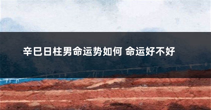 辛巳日柱男命运势如何 命运好不好