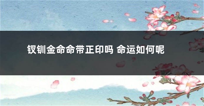 钗钏金命命带正印吗 命运如何呢