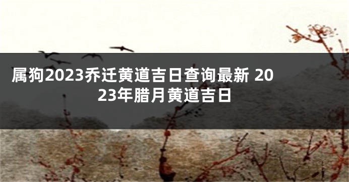 属狗2023乔迁黄道吉日查询最新 2023年腊月黄道吉日
